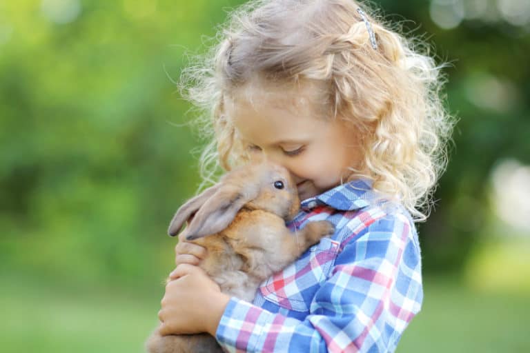 Are Rabbits Good Pets? - SimplyRabbits - Rabbit care